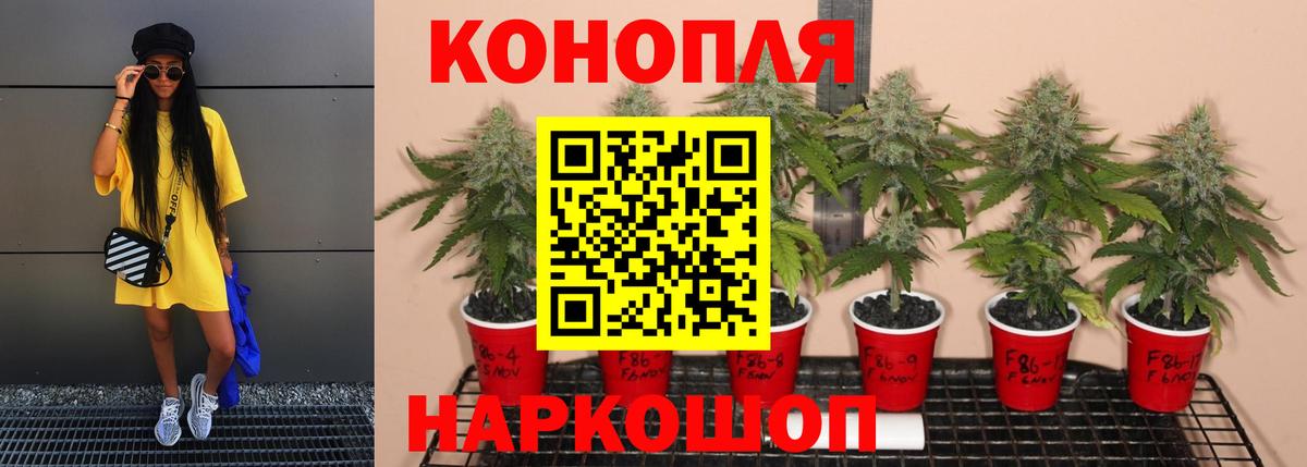 ГАШ  Лсд 25  Марихуана  Меф кристаллы  Нурлат  Вход с VPN 